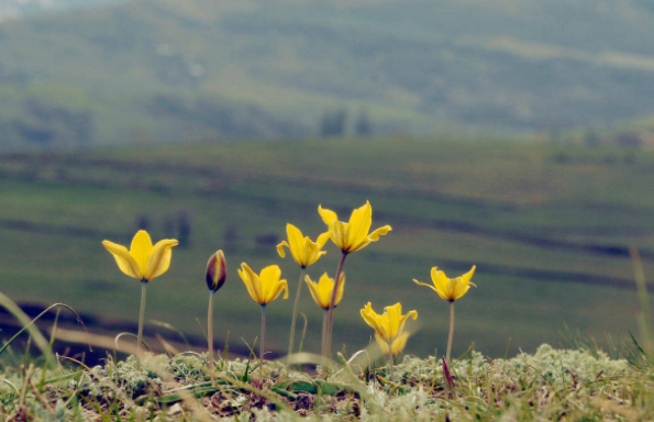 没有围墙的实验室便是一种心连心幸福教育的新式教育实践 没有围墙的实验室便是一种心连心幸福教育的新式教育实践