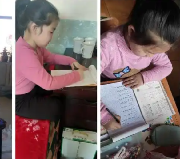 纳入安全提示实现“无死角”覆盖守护学生身心健康与生命安全